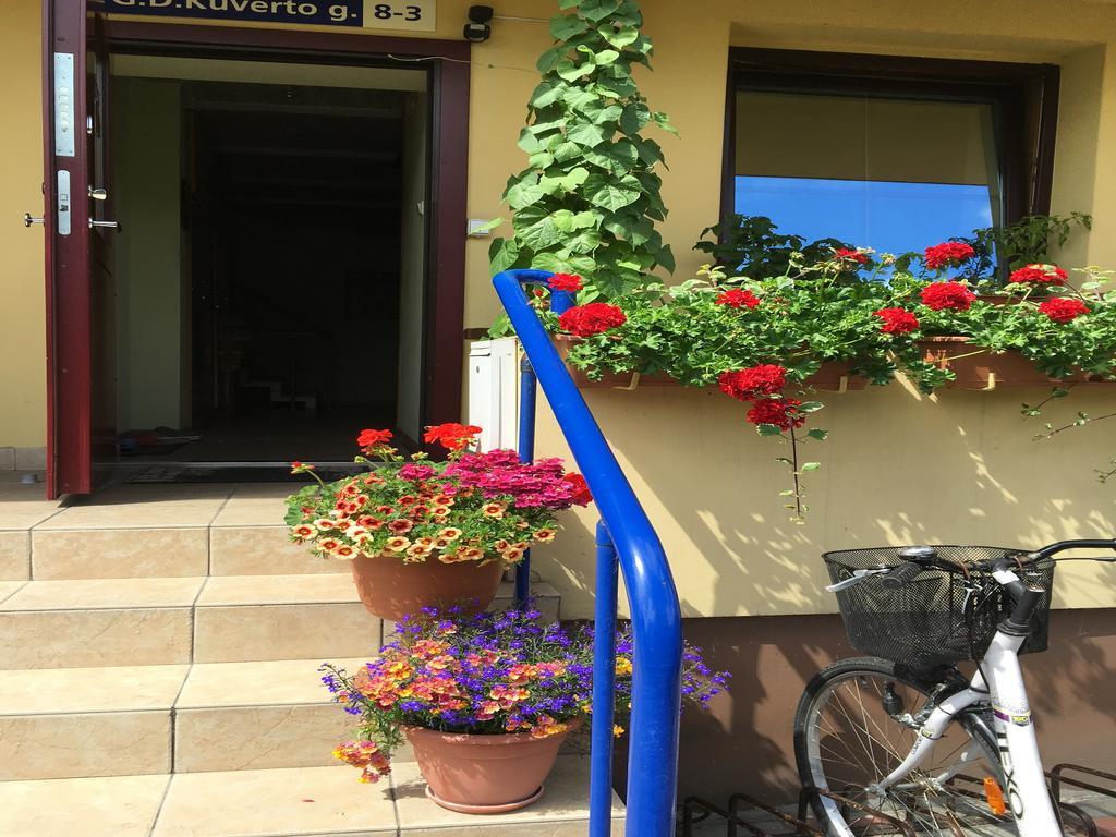 Apartamentai Viktorija Nida Exterior foto